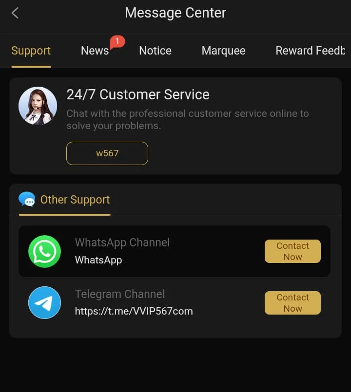 W567 Game Customer support team for assistance of players