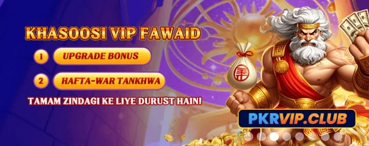 Claim for bonuses, rewards and promotions with the help of PKRVIP App